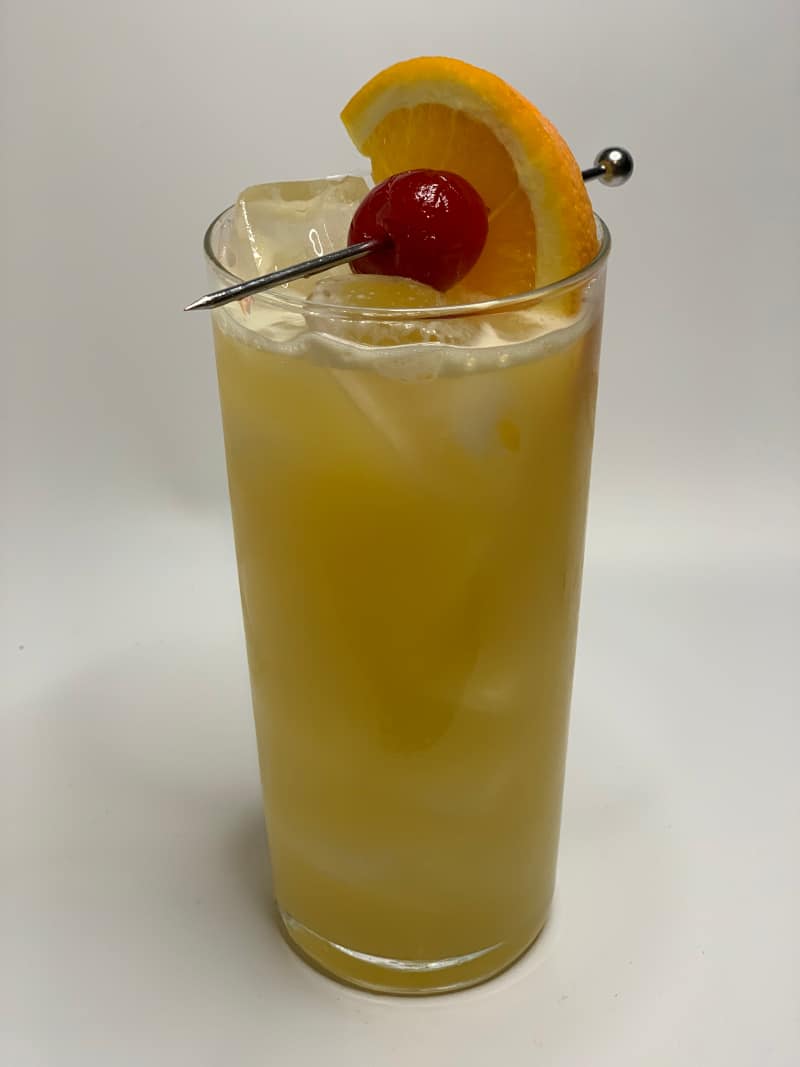 Black Eyed Susan